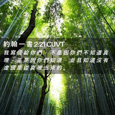 Picture 02 - 約 翰 一 書 2:21 CUVT - 我 寫 信 給 你 們 ， 不 是 因 你 們 - Bible Verse Picture