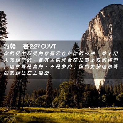 Picture 02 - 約 翰 一 書 2:27 CUVT - 你 們 從 主 所 受 的 恩 膏 常 存 在 - Bible Verse Picture
