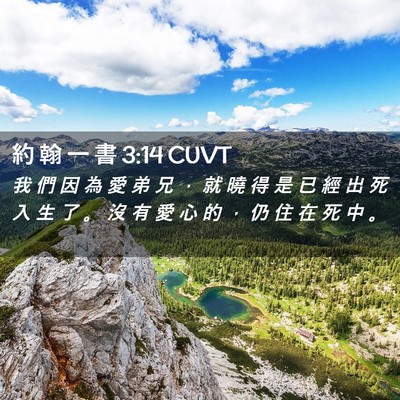 Picture 02 - 約 翰 一 書 3:14 CUVT - 我 們 因 為 愛 弟 兄 ， 就 曉 得 是 - Bible Verse Picture
