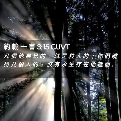 Picture 02 - 約 翰 一 書 3:15 CUVT - 凡 恨 他 弟 兄 的 ， 就 是 殺 人 的 - Bible Verse Picture
