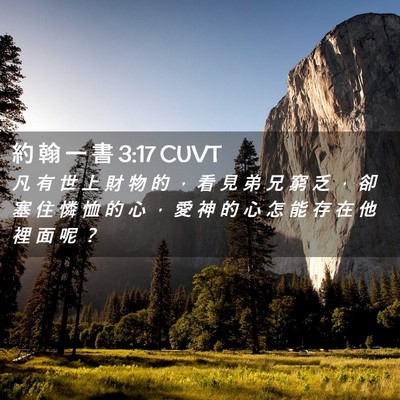 Picture 02 - 約 翰 一 書 3:17 CUVT - 凡 有 世 上 財 物 的 ， 看 見 弟 兄 - Bible Verse Picture
