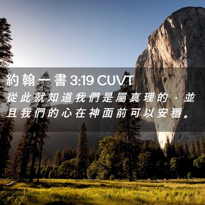 Picture 02 - 約 翰 一 書 3:19 CUVT - 從 此 就 知 道 我 們 是 屬 真 理 的 - Bible Verse Picture