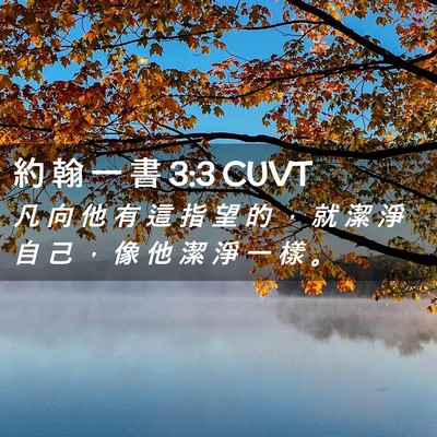 Picture 02 - 約 翰 一 書 3:3 CUVT - 凡 向 他 有 這 指 望 的 ， 就 潔 淨 - Bible Verse Picture