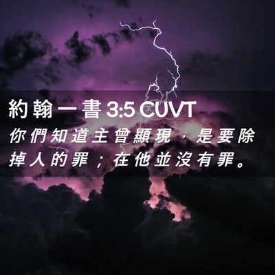 Picture 02 - 約 翰 一 書 3:5 CUVT - 你 們 知 道 主 曾 顯 現 ， 是 要 除 - Bible Verse Picture