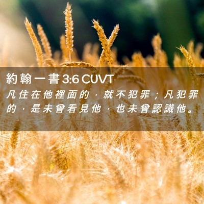 Picture 02 - 約 翰 一 書 3:6 CUVT - 凡 住 在 他 裡 面 的 ， 就 不 犯 罪 - Bible Verse Picture