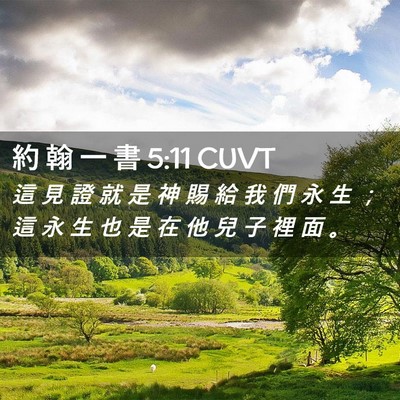 Picture 02 - 約 翰 一 書 5:11 CUVT - 這 見 證 就 是 神 賜 給 我 們 永 生 - Bible Verse Picture