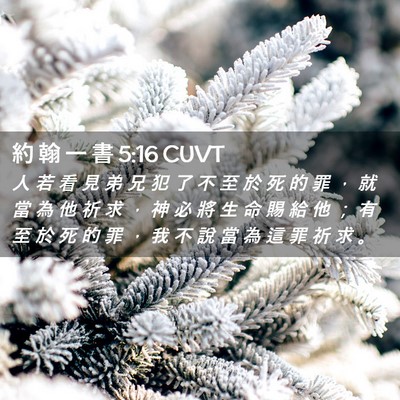 Picture 02 - 約 翰 一 書 5:16 CUVT - 人 若 看 見 弟 兄 犯 了 不 至 於 死 - Bible Verse Picture