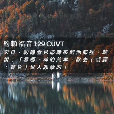 Picture 02 - 約 翰 福 音 1:29 CUVT - 次 日 ， 約 翰 看 見 耶 穌 來 到 他 - Bible Verse Picture
