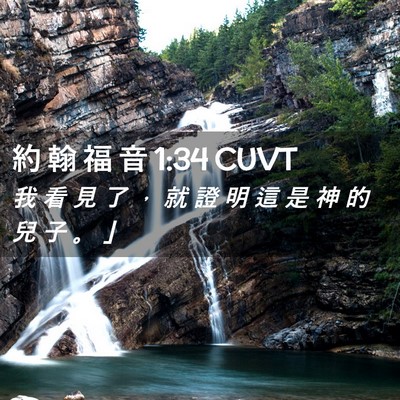 Picture 02 - 約 翰 福 音 1:34 CUVT - 我 看 見 了 ， 就 證 明 這 是 神 的 - Bible Verse Picture