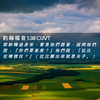 Picture 02 - 約 翰 福 音 1:38 CUVT - 耶 穌 轉 過 身 來 ， 看 見 他 們 跟 - Bible Verse Picture
