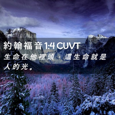 Picture 02 - 約 翰 福 音 1:4 CUVT - 生 命 在 他 裡 頭 ， 這 生 命 就 是 - Bible Verse Picture
