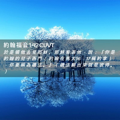 Picture 02 - 約 翰 福 音 1:42 CUVT - 於 是 領 他 去 見 耶 穌 。 耶 穌 看 - Bible Verse Picture