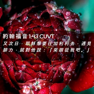 Picture 02 - 約 翰 福 音 1:43 CUVT - 又 次 日 ， 耶 穌 想 要 往 加 利 利 - Bible Verse Picture