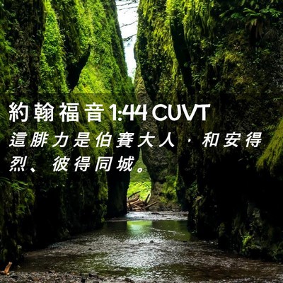 Picture 02 - 約 翰 福 音 1:44 CUVT - 這 腓 力 是 伯 賽 大 人 ， 和 安 得 - Bible Verse Picture
