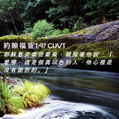 Picture 02 - 約 翰 福 音 1:47 CUVT - 耶 穌 看 見 拿 但 業 來 ， 就 指 著 - Bible Verse Picture
