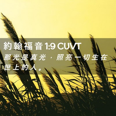Picture 02 - 約 翰 福 音 1:9 CUVT - 那 光 是 真 光 ， 照 亮 一 切 生 在 - Bible Verse Picture