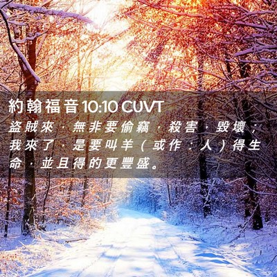 Picture 02 - 約 翰 福 音 10:10 CUVT - 盜 賊 來 ， 無 非 要 偷 竊 ， 殺 害 - Bible Verse Picture