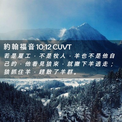 Picture 02 - 約 翰 福 音 10:12 CUVT - 若 是 雇 工 ， 不 是 牧 人 ， 羊 也 - Bible Verse Picture
