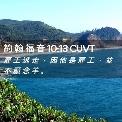 Picture 02 - 約 翰 福 音 10:13 CUVT - 雇 工 逃 走 ， 因 他 是 雇 工 ， 並 - Bible Verse Picture