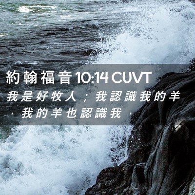Picture 02 - 約 翰 福 音 10:14 CUVT - 我 是 好 牧 人 ； 我 認 識 我 的 羊 - Bible Verse Picture