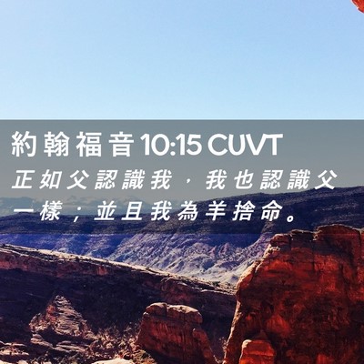 Picture 02 - 約 翰 福 音 10:15 CUVT - 正 如 父 認 識 我 ， 我 也 認 識 父 - Bible Verse Picture