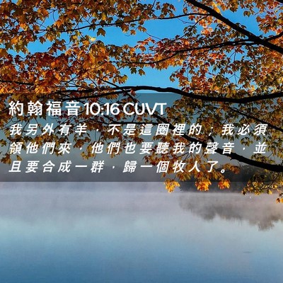 Picture 02 - 約 翰 福 音 10:16 CUVT - 我 另 外 有 羊 ， 不 是 這 圈 裡 的 - Bible Verse Picture