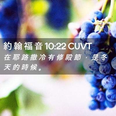Picture 02 - 約 翰 福 音 10:22 CUVT - 在 耶 路 撒 冷 有 修 殿 節 ， 是 冬 - Bible Verse Picture