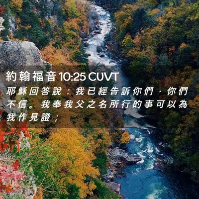 Picture 02 - 約 翰 福 音 10:25 CUVT - 耶 穌 回 答 說 ： 我 已 經 告 訴 你 - Bible Verse Picture