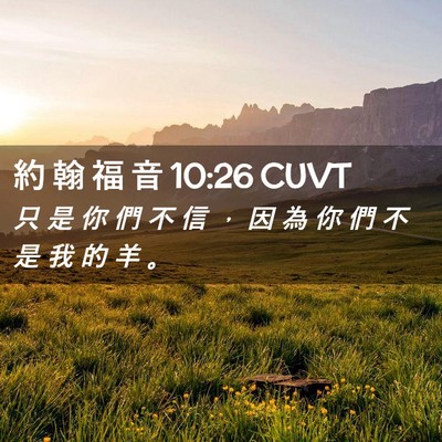Picture 02 - 約 翰 福 音 10:26 CUVT - 只 是 你 們 不 信 ， 因 為 你 們 不 - Bible Verse Picture