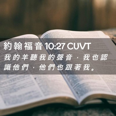 Picture 02 - 約 翰 福 音 10:27 CUVT - 我 的 羊 聽 我 的 聲 音 ， 我 也 認 - Bible Verse Picture