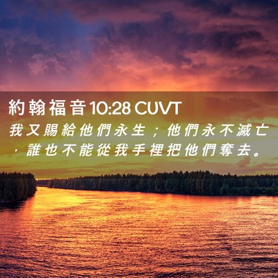 Picture 02 - 約 翰 福 音 10:28 CUVT - 我 又 賜 給 他 們 永 生 ； 他 們 永 - Bible Verse Picture