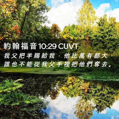 Picture 02 - 約 翰 福 音 10:29 CUVT - 我 父 把 羊 賜 給 我 ， 他 比 萬 有 - Bible Verse Picture