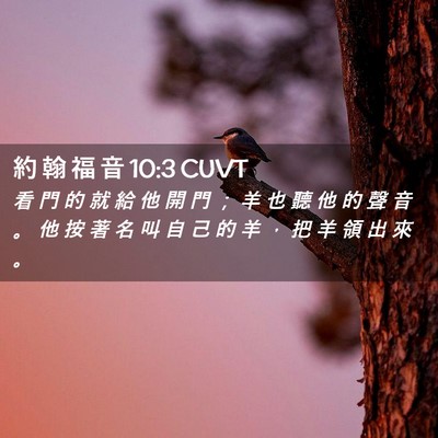 Picture 02 - 約 翰 福 音 10:3 CUVT - 看 門 的 就 給 他 開 門 ； 羊 也 聽 - Bible Verse Picture