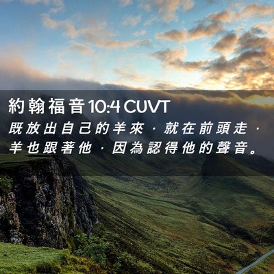 Picture 02 - 約 翰 福 音 10:4 CUVT - 既 放 出 自 己 的 羊 來 ， 就 在 前 - Bible Verse Picture