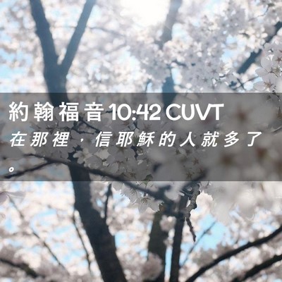 Picture 02 - 約 翰 福 音 10:42 CUVT - 在 那 裡 ， 信 耶 穌 的 人 就 多 了 - Bible Verse Picture