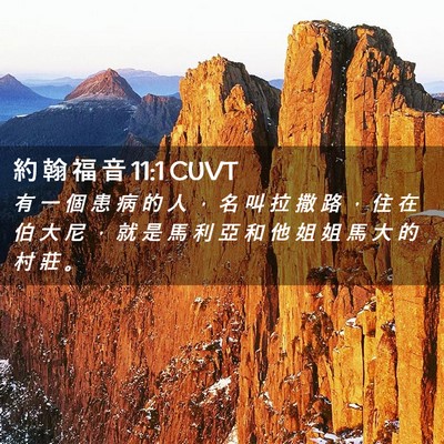 Picture 02 - 約 翰 福 音 11:1 CUVT - 有 一 個 患 病 的 人 ， 名 叫 拉 撒 - Bible Verse Picture