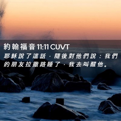 Picture 02 - 約 翰 福 音 11:11 CUVT - 耶 穌 說 了 這 話 ， 隨 後 對 他 們 - Bible Verse Picture
