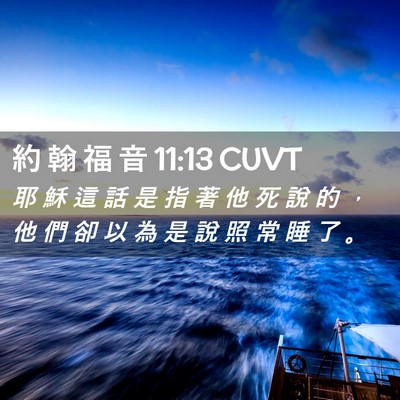 Picture 02 - 約 翰 福 音 11:13 CUVT - 耶 穌 這 話 是 指 著 他 死 說 的 ， - Bible Verse Picture