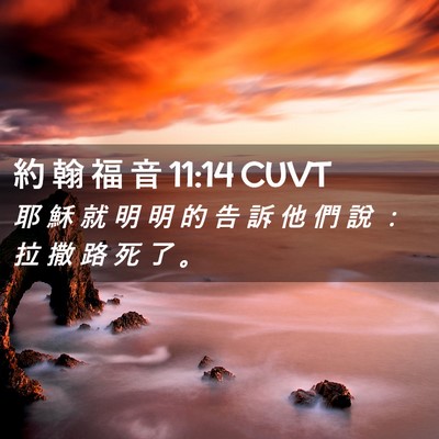 Picture 02 - 約 翰 福 音 11:14 CUVT - 耶 穌 就 明 明 的 告 訴 他 們 說 ： - Bible Verse Picture