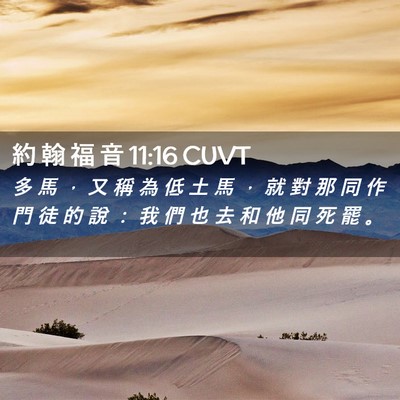 Picture 02 - 約 翰 福 音 11:16 CUVT - 多 馬 ， 又 稱 為 低 土 馬 ， 就 對 - Bible Verse Picture
