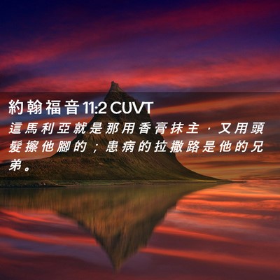 Picture 02 - 約 翰 福 音 11:2 CUVT - 這 馬 利 亞 就 是 那 用 香 膏 抹 主 - Bible Verse Picture