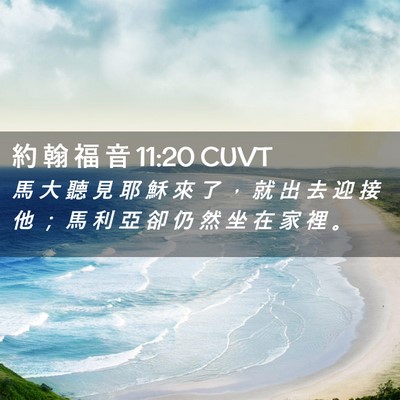 Picture 02 - 約 翰 福 音 11:20 CUVT - 馬 大 聽 見 耶 穌 來 了 ， 就 出 去 - Bible Verse Picture