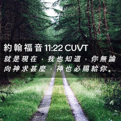 Picture 02 - 約 翰 福 音 11:22 CUVT - 就 是 現 在 ， 我 也 知 道 ， 你 無 - Bible Verse Picture
