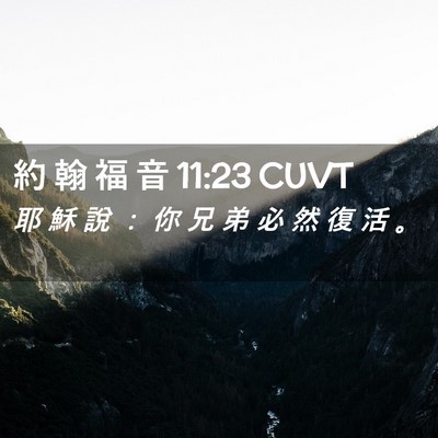 Picture 02 - 約 翰 福 音 11:23 CUVT - 耶 穌 說 ： 你 兄 弟 必 然 復 活 - Bible Verse Picture