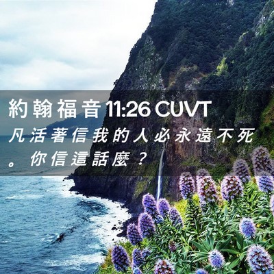 Picture 02 - 約 翰 福 音 11:26 CUVT - 凡 活 著 信 我 的 人 必 永 遠 不 死 - Bible Verse Picture