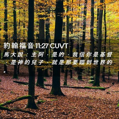 Picture 02 - 約 翰 福 音 11:27 CUVT - 馬 大 說 ： 主 阿 ， 是 的 ， 我 信 - Bible Verse Picture