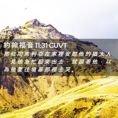 Picture 02 - 約 翰 福 音 11:31 CUVT - 那 些 同 馬 利 亞 在 家 裡 安 慰 他 - Bible Verse Picture