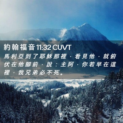 Picture 02 - 約 翰 福 音 11:32 CUVT - 馬 利 亞 到 了 耶 穌 那 裡 ， 看 見 - Bible Verse Picture