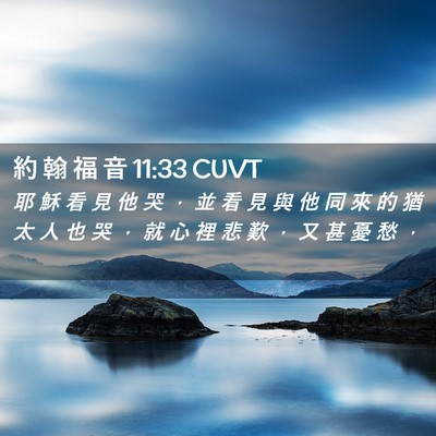 Picture 02 - 約 翰 福 音 11:33 CUVT - 耶 穌 看 見 他 哭 ， 並 看 見 與 他 - Bible Verse Picture