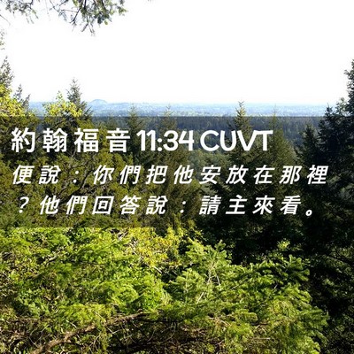 Picture 02 - 約 翰 福 音 11:34 CUVT - 便 說 ： 你 們 把 他 安 放 在 那 裡 - Bible Verse Picture